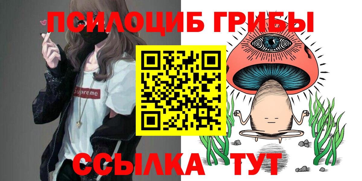 Ишимбай  как найти закладки  Вход с VPN  Псилоцибиновые грибы мицелий 