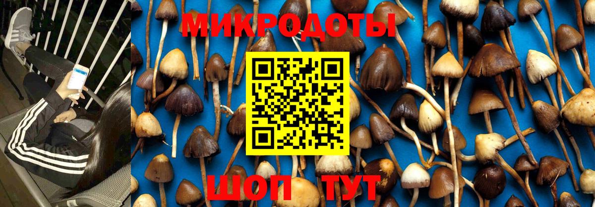 Галлюциногенные грибы ЛСД Ишимбай